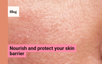 Nourish and Protect Your Skin Barrier